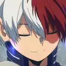 Profile image of Shoto Todoroki