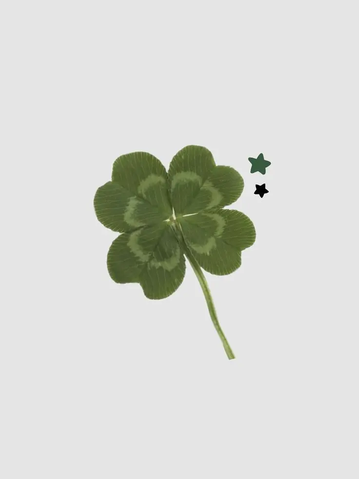 CrispyStep7332의 西園寺 光雲