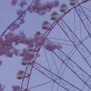 Profile image of みこと