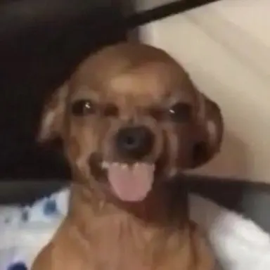 Profile image of 유지태