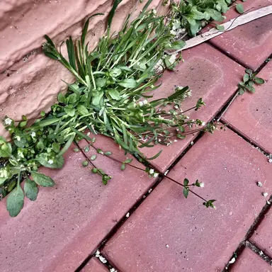 Profile image of 이 상 혁