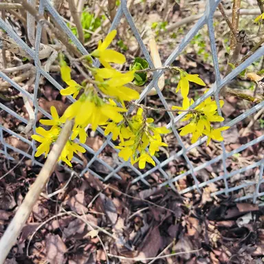 Profile image of 명 재 현