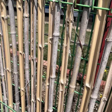 Profile image of 박 성 호