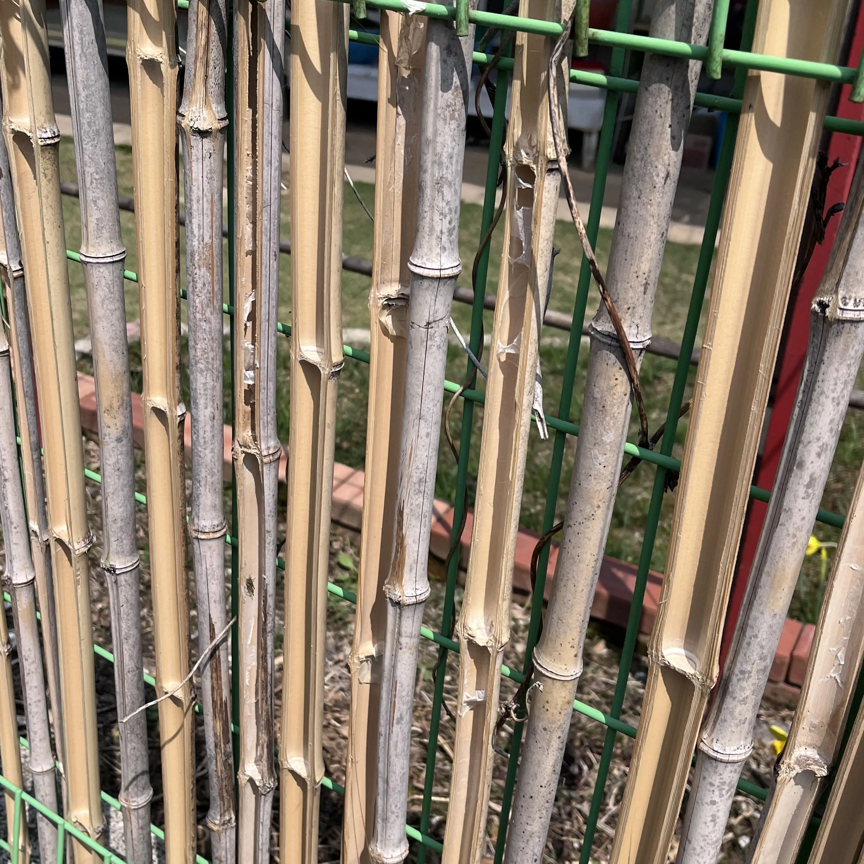 PuristArm6461의 오빠 친구들