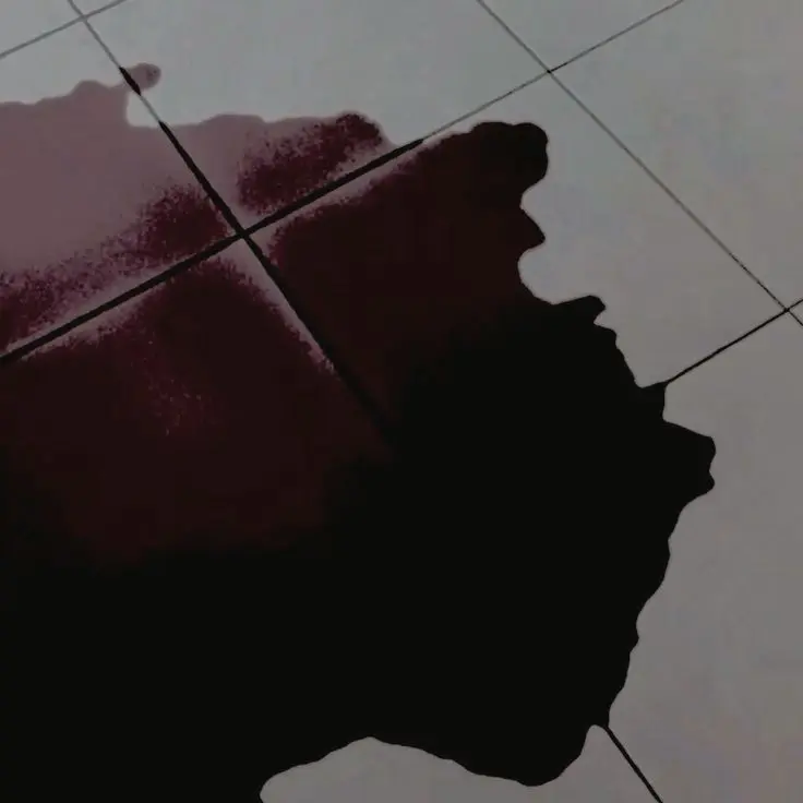 Kingsojoukang0430의 ~Crimson Care~