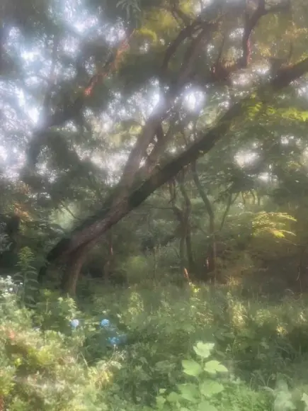 NIKUYAMANOSABUAKA_1205의 ⸝⸝꙳