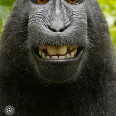 Profile image of Buriko