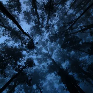 Profile image of 류현