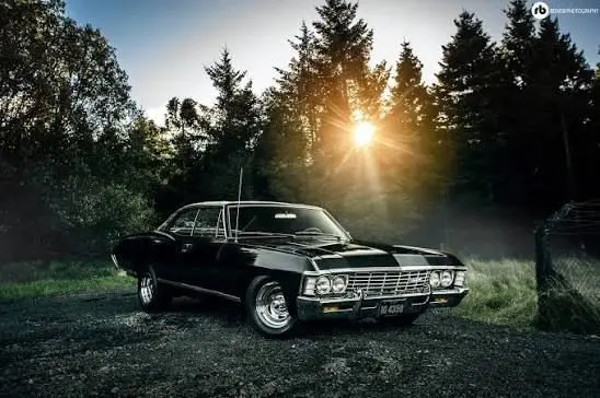 Profile image of Supernatural