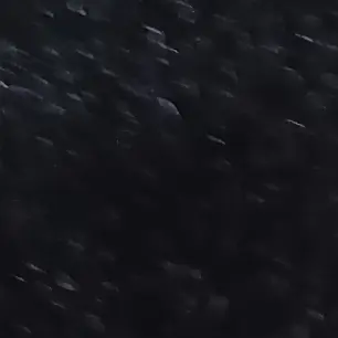 Profile image of 버그