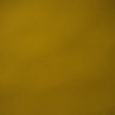 Profile image of 周杜