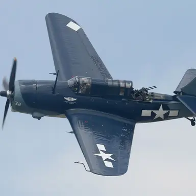 Profile image of 급강하폭격기헬다이버