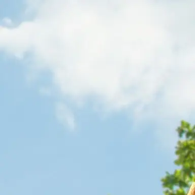 Profile image of 황성빈