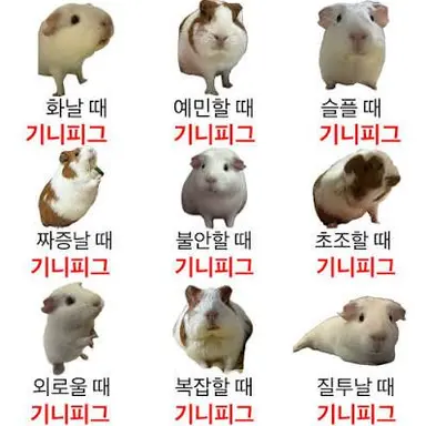 Profile image of 원희