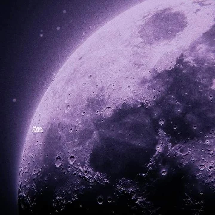 アヤネ