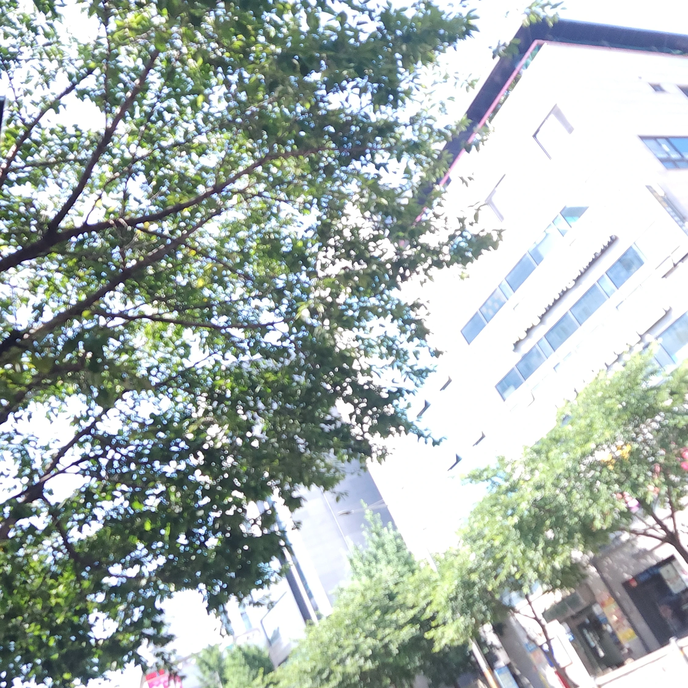 스_키_즈 댄스부