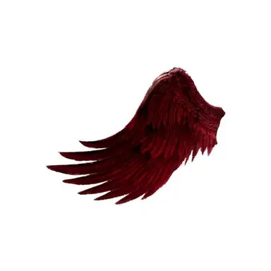 Profile image of 朱雀