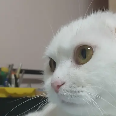 Profile image of 오징어게임2