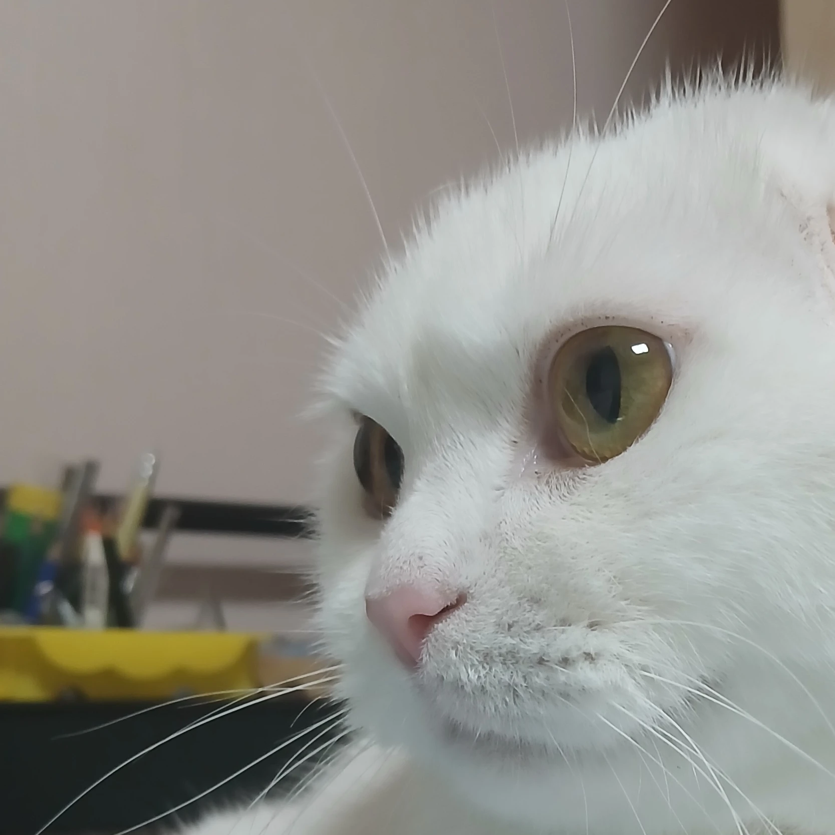 오징어게임2