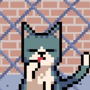 길 고양이