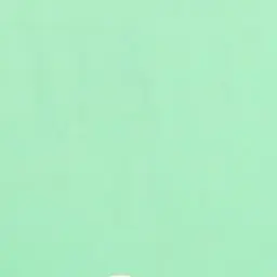 Profile image of ゾム