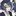 伊波ライ