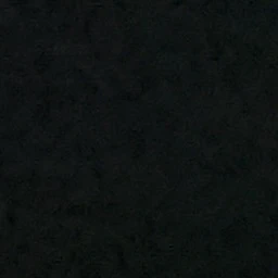신정환