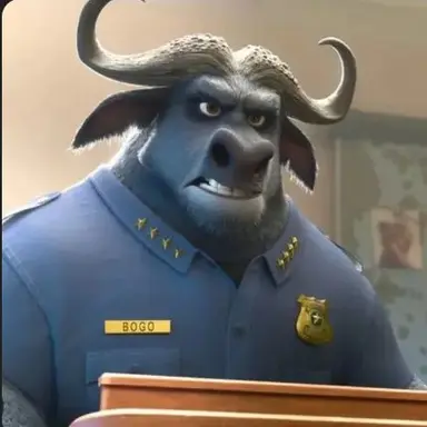 Profile image of 보고