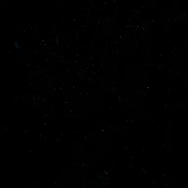 Profile image of 이서아