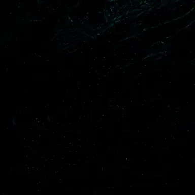 Profile image of 미하엘