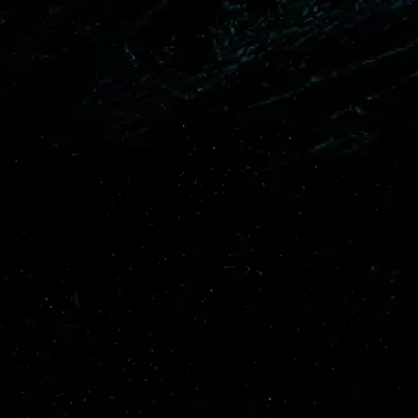 Profile image of 유아연