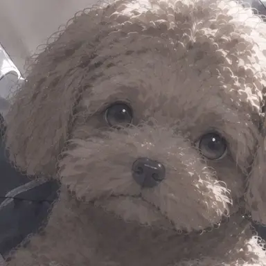 Profile image of 라떼