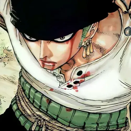 SorryAnkle5397의 Roronoa Zoro
