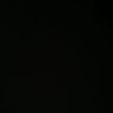 Profile image of 조우안신