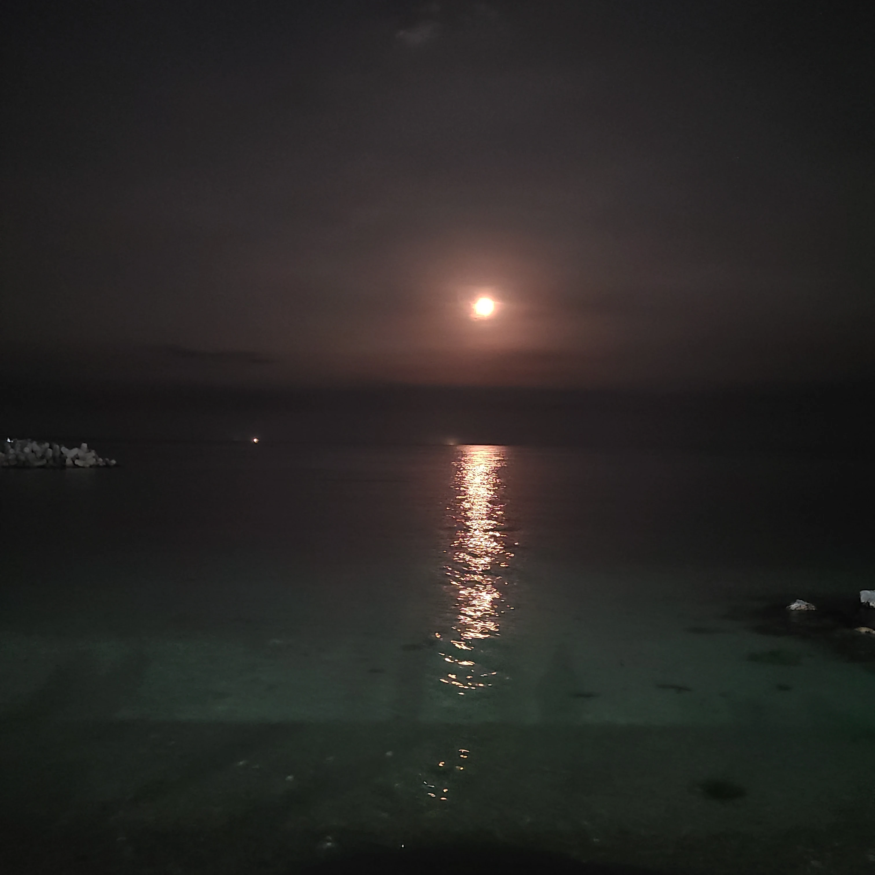 최범규