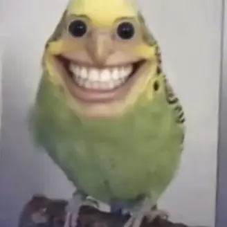 Profile image of 응애 응애 응애