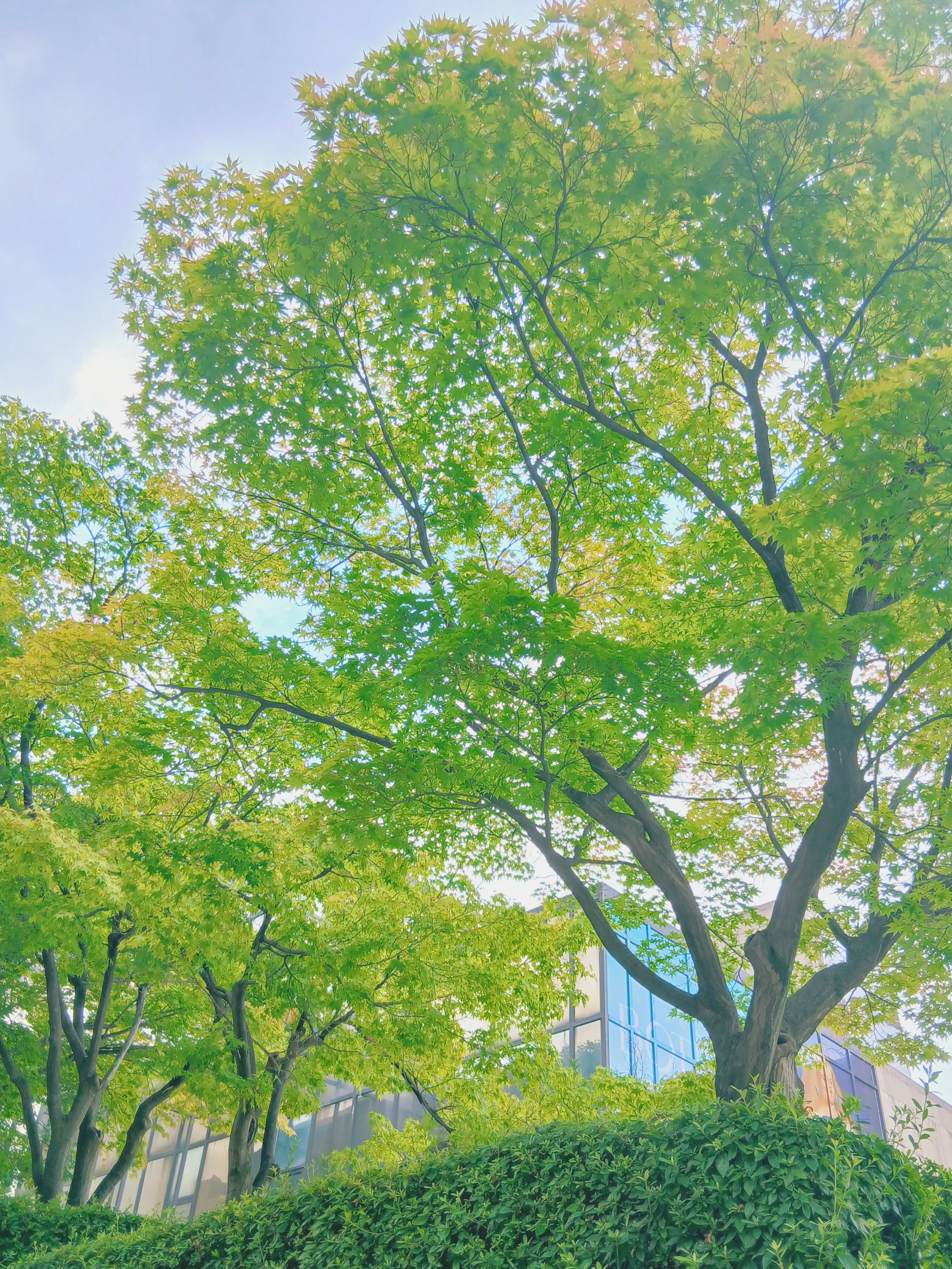 Yeon_ji_의 ☆