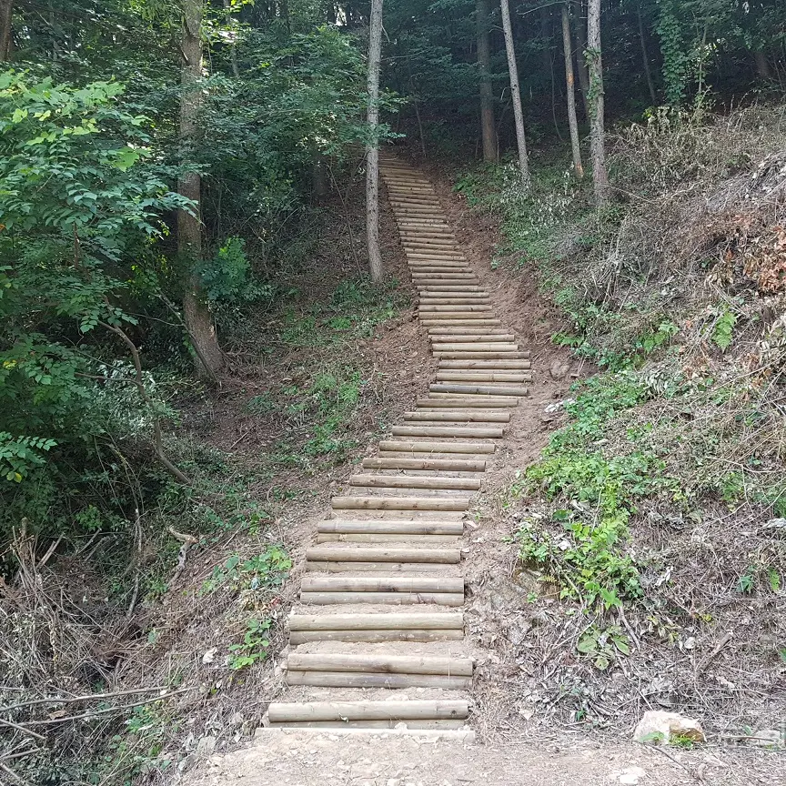 OrangeTulip4196의 멘해라 슈나장