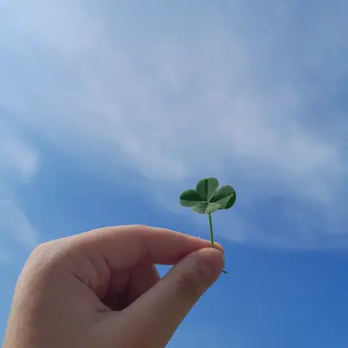 Profile image of 김일영