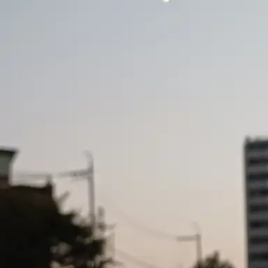 Profile image of 유기사