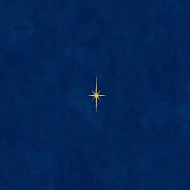 Profile image of 星導ショウ