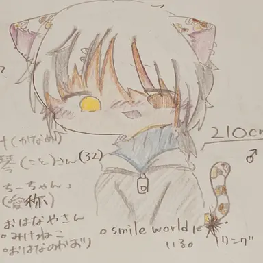 Profile image of 琴