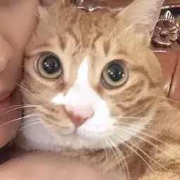 seungm0의 이민호