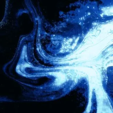 Profile image of Five