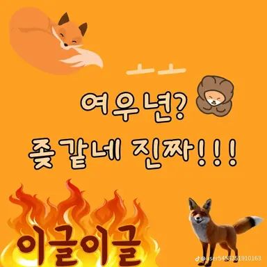 Profile image of 여우