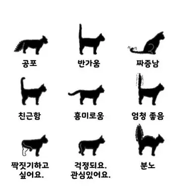 Profile image of 해수