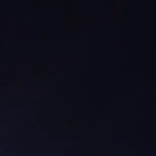 Profile image of 김동금