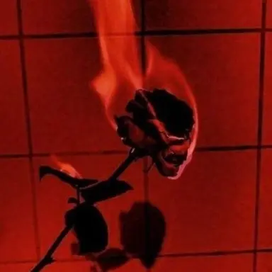 Profile image of 플래그