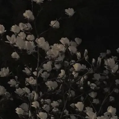 Profile image of 우융