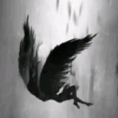 Profile image of 올렉